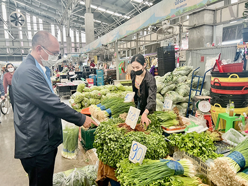 พาณิชย์ตรวจติดตามสถานการณ์ราคาผัก