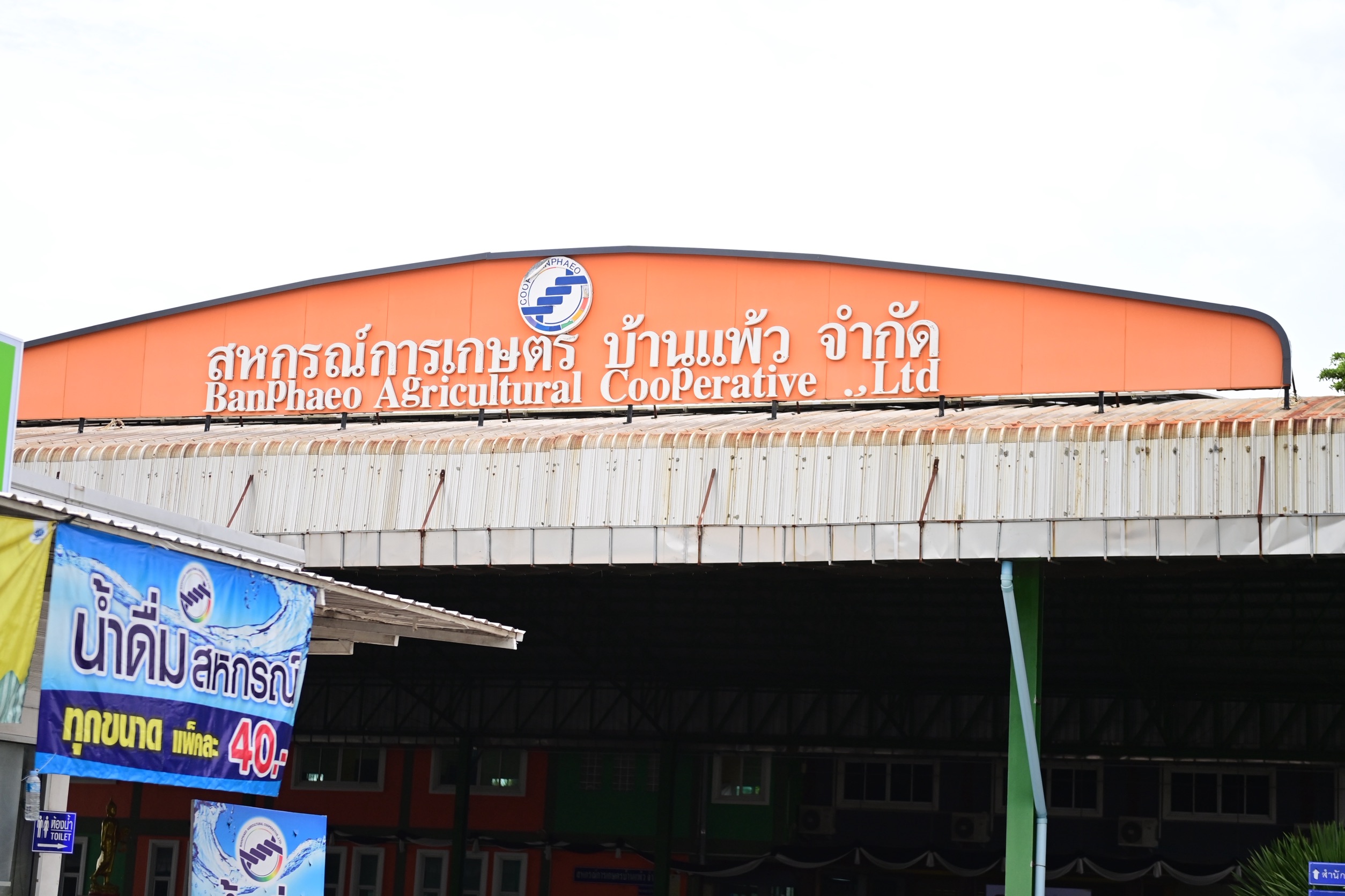 พาณิชย์ลงพื้นที่ติดตามสถานการณ์มะพร้าวน้ำหอม และความพร้อมในการตั้ง “ล้งชุมชน” 