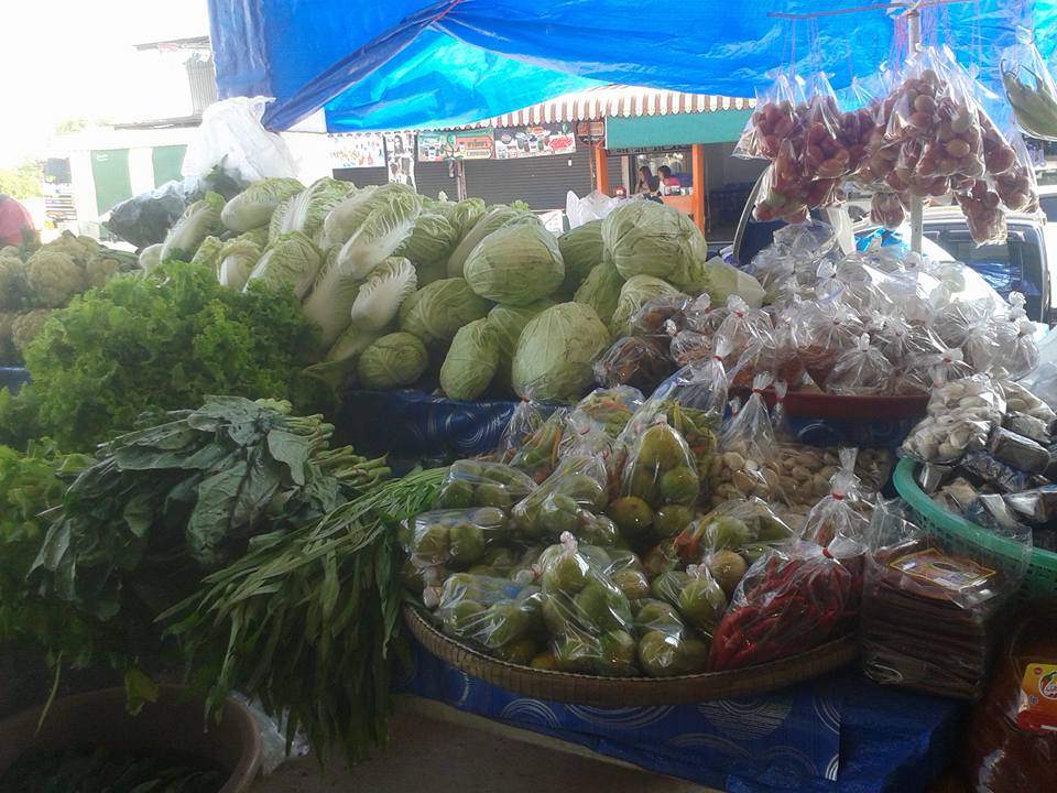 785_สินค้า 3.jpg