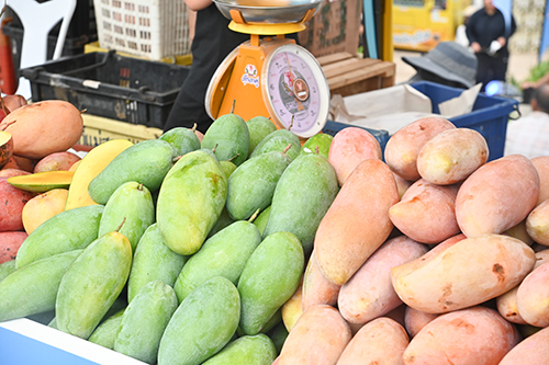 พาณิชย์ Fruit Festival 2023