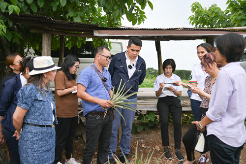 พาณิชย์ติดตามการค้าลำไยและสับปะรดภาคเหนือ