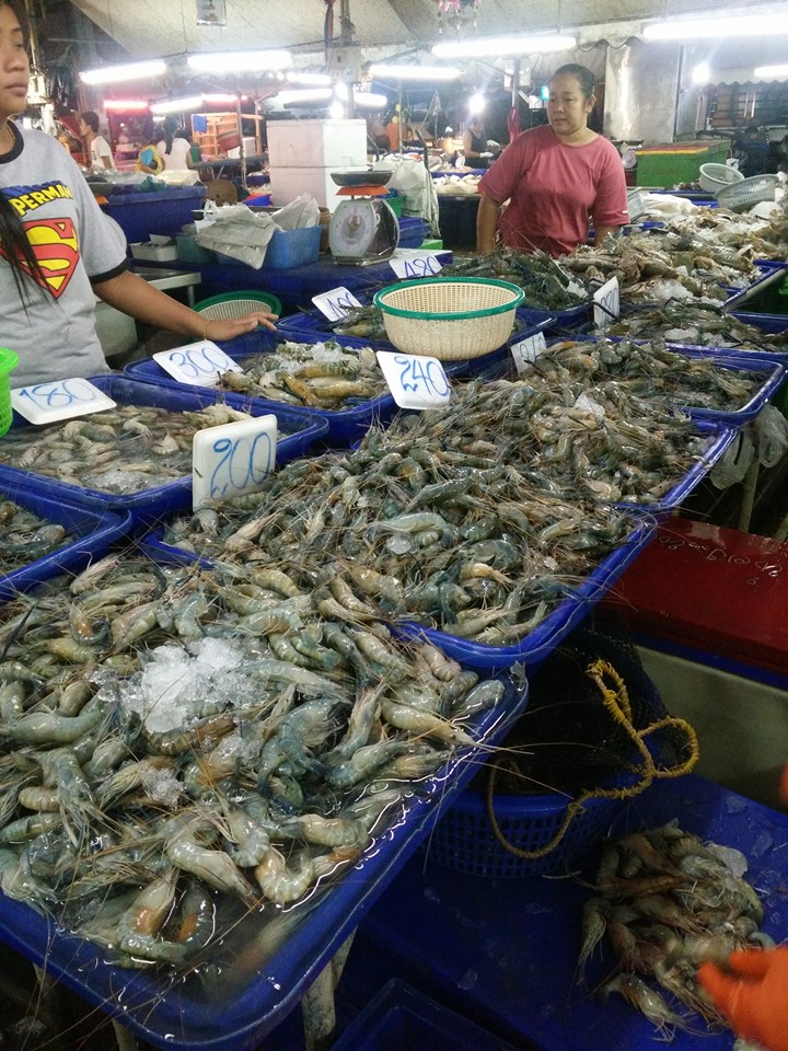 22020_แผงอาหารทะเล.jpg