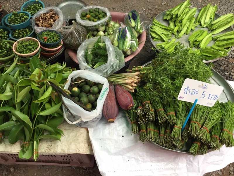 581_ผักพื้นบ้าน.jpg