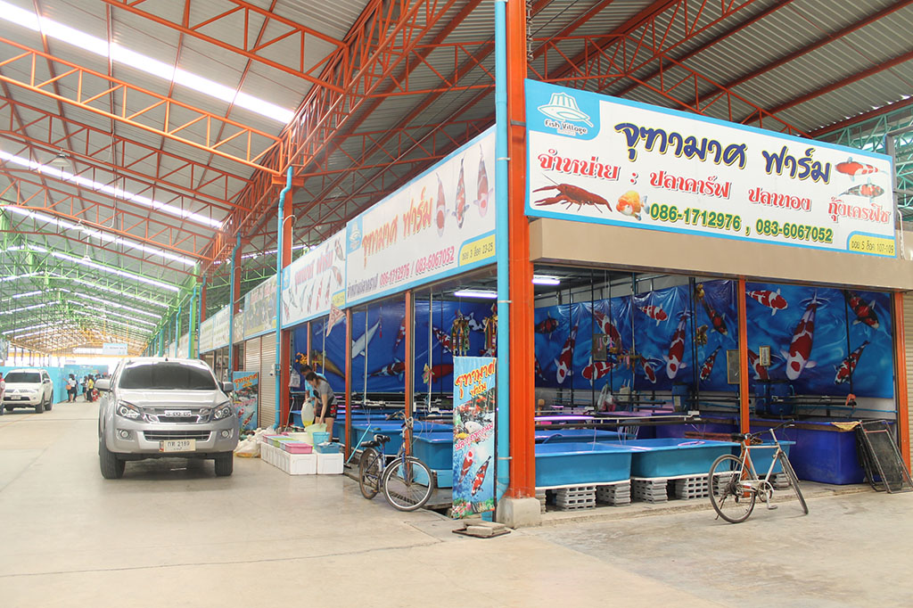 22149_ภายในตลาด 2.JPG