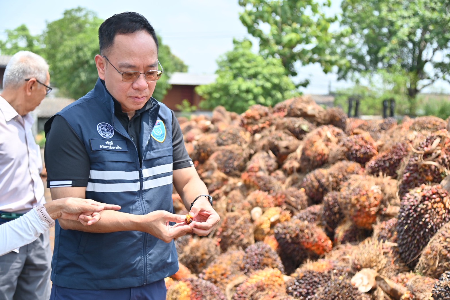 ข่าวเลขที่ 129/2569 “ค้าภายใน” ลงพื้นที่พบเกษตรกรปาล์ม ย้ำส่งออกยังคล่องตัว ดันใช้ B20 เพิ่ม โรงสกัดต้องให้ราคาเพิ่มตามคุณภาพ ไม่มีติดคิว หนุนราคาปาล์มขยับ เกษตรกรมั่นใจสถานการณ์คลี่คลาย (2 พฤษภาคม )