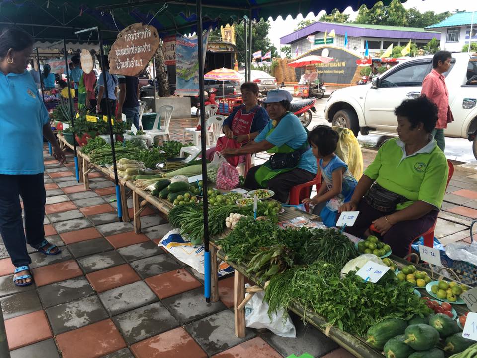 22454_แผงผัก.jpg
