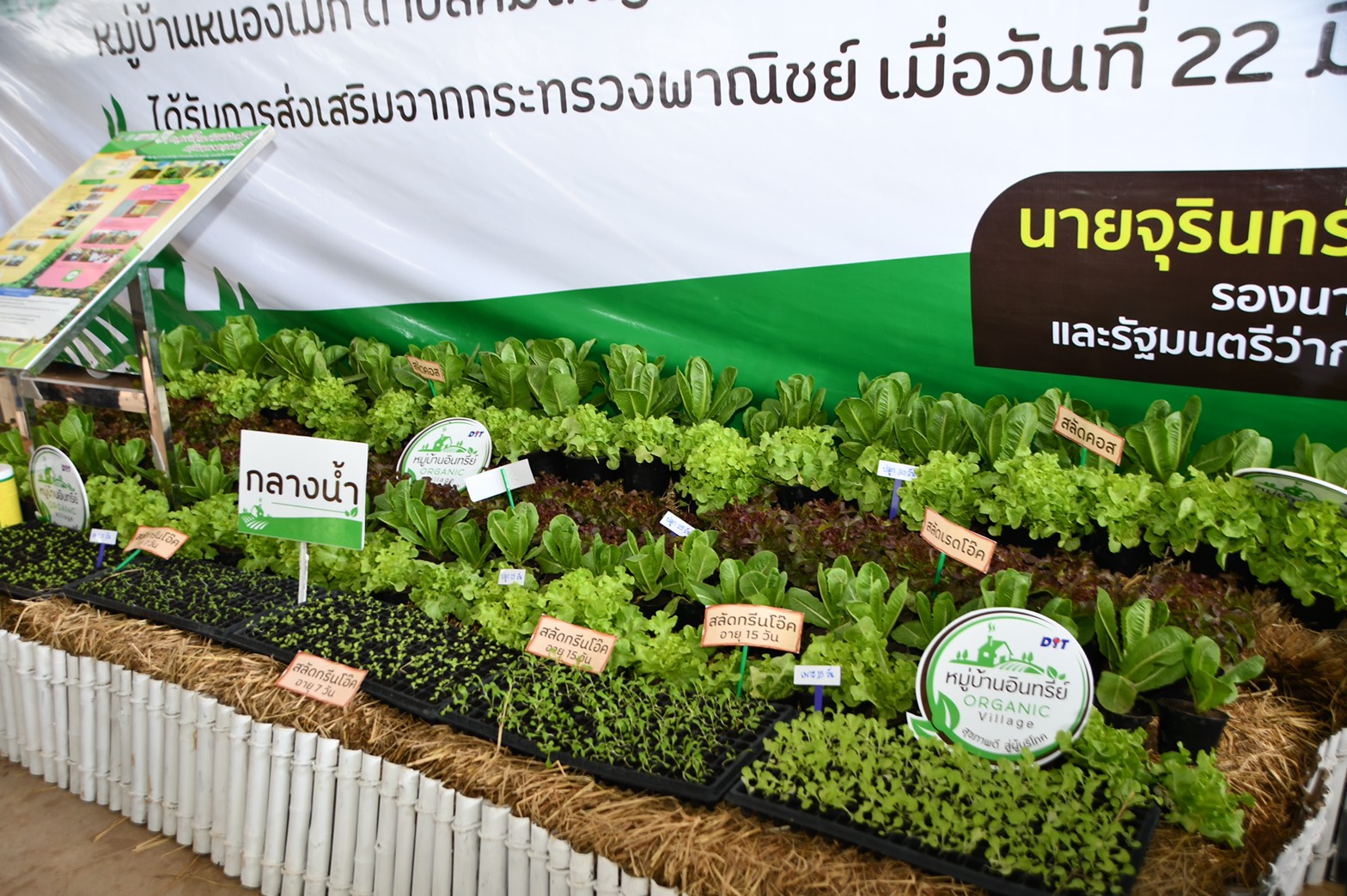 อธิบดีร่วมติดตามความคืบหน้าโครงการประกันรายได้ พร้อมพบปะกลุ่มองค์กรเกษตรผู้ผลิตสินค้าเกษตรอินทรีย์