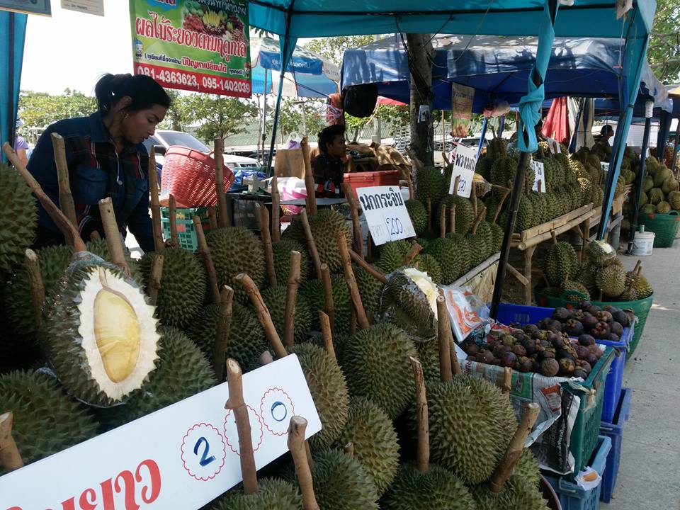 21895_แผงค้า ผลไม้ ทุเรียน.jpg