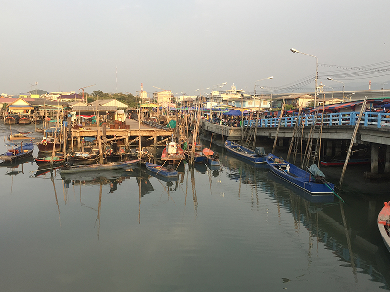 45604_ภาพรวมตลาด.JPG
