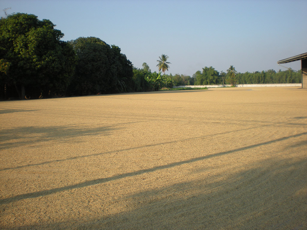 22198_ลานตาก.jpg