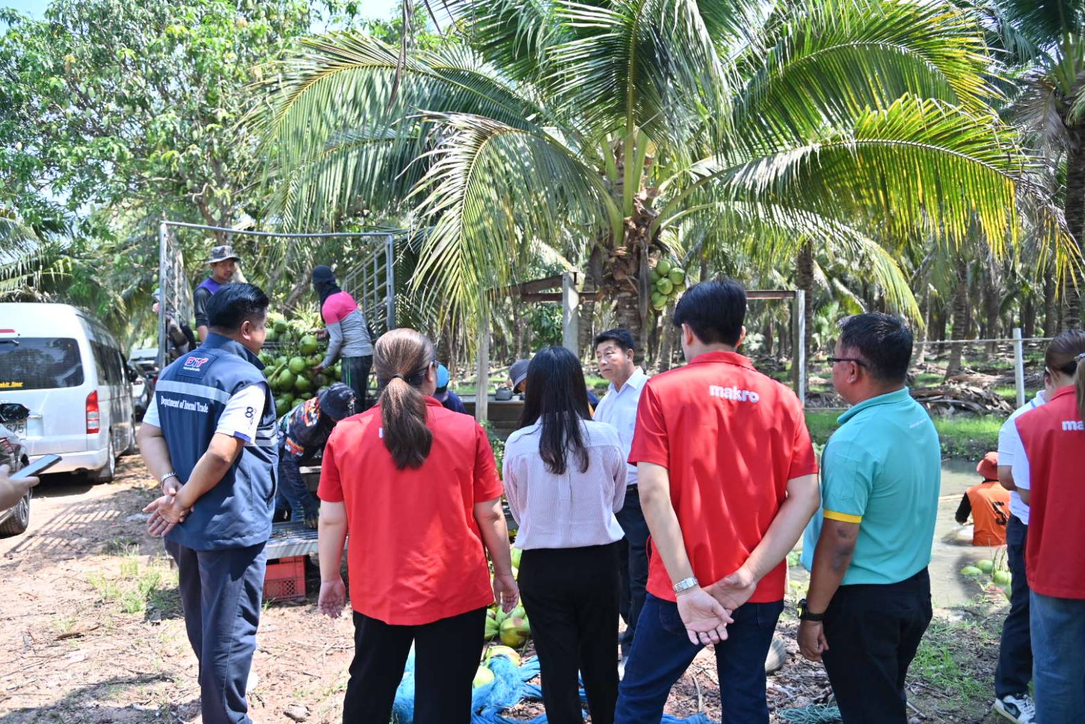 DIT จับมือ CP Axtra เร่งระบายมะพร้าวน้ำหอมราชบุรี