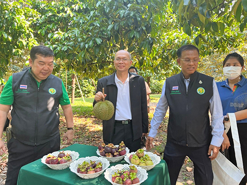 ติดตามสถานการณ์ด้านการผลิตการตลาดผลไม้ภาคตะวันออกและมาตรการป้องกันการจำหน่ายทุเรียนอ่อน 