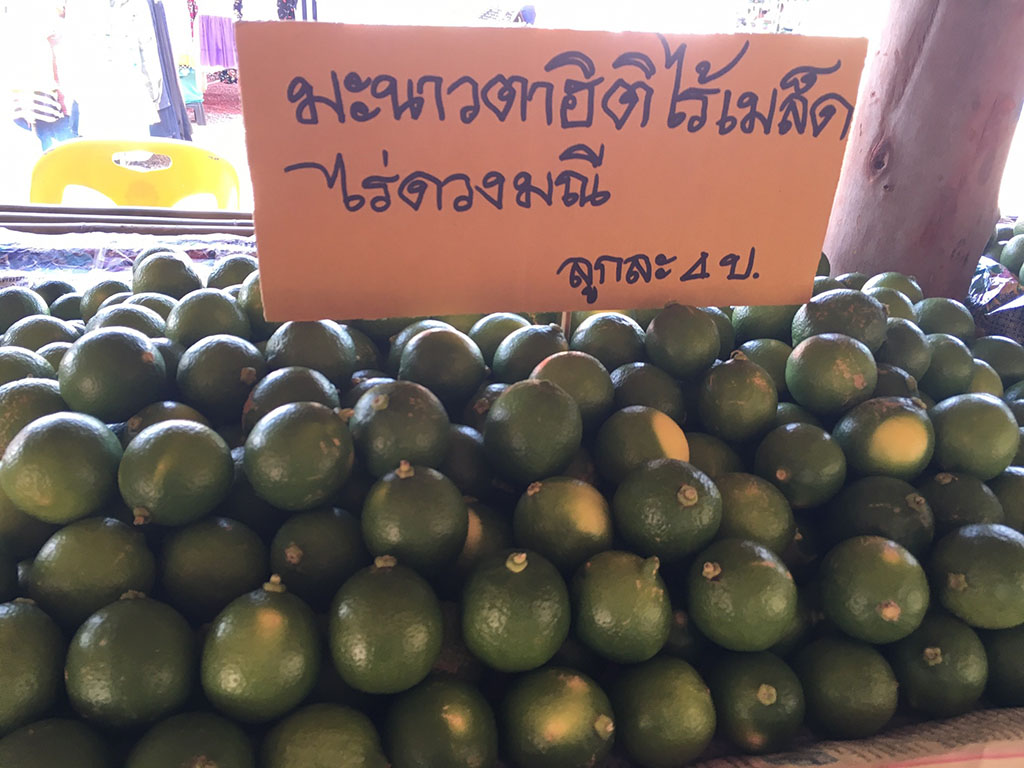 11280_สินค้าที่จำหน่าย 6.jpg
