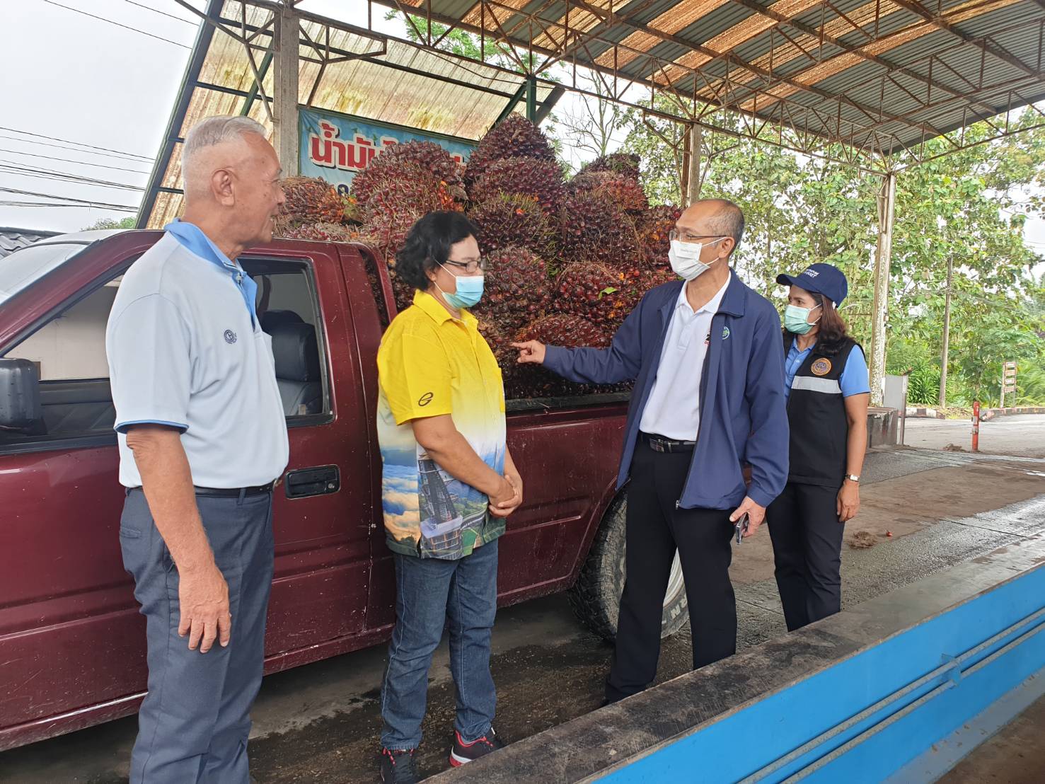 กรมการค้าภายใน ตรวจติดตามการซื้อขายผลผลิตปาล์ม