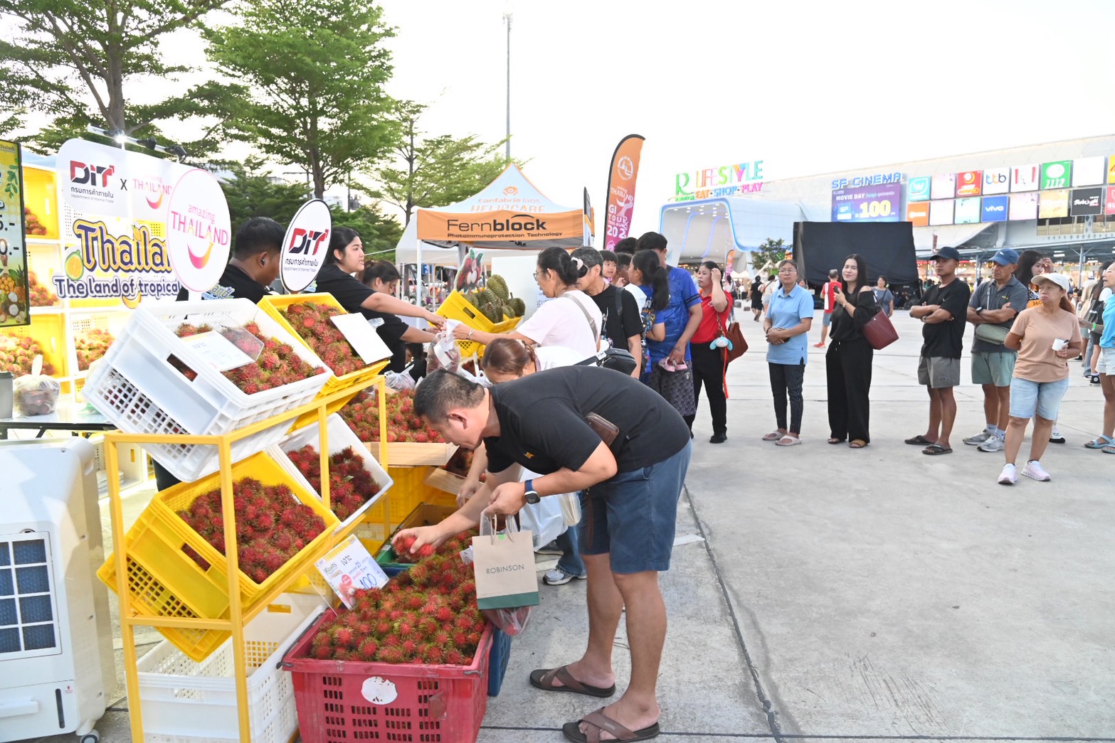ข่าวเลขที่ 148/2569 พาณิชย์ ลุยช่วยเงาะตราดราคาตก ลงพื้นที่รับฟังชาวสวน ดึงห้างค้าปลีกเร่งรับซื้อ พยุงราคา–กระจายผลผลิตออกนอกแหล่งผลิต (28 พฤษภาคม 2569)