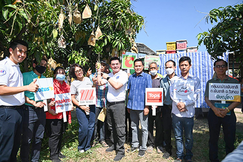 กรมการค้าภายในนำผู้ประกอบการ รับซื้อมะม่วงกว่า 16,000 ตัน ภายใต้อมก๋อยโมเดล