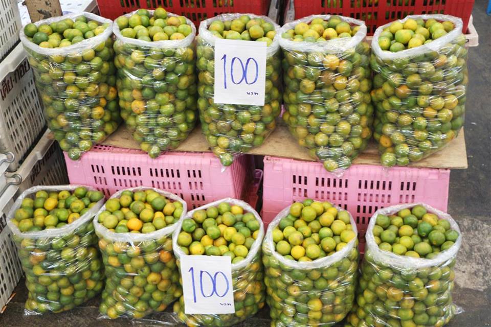 45038_ขายส่งผลไม้.jpg