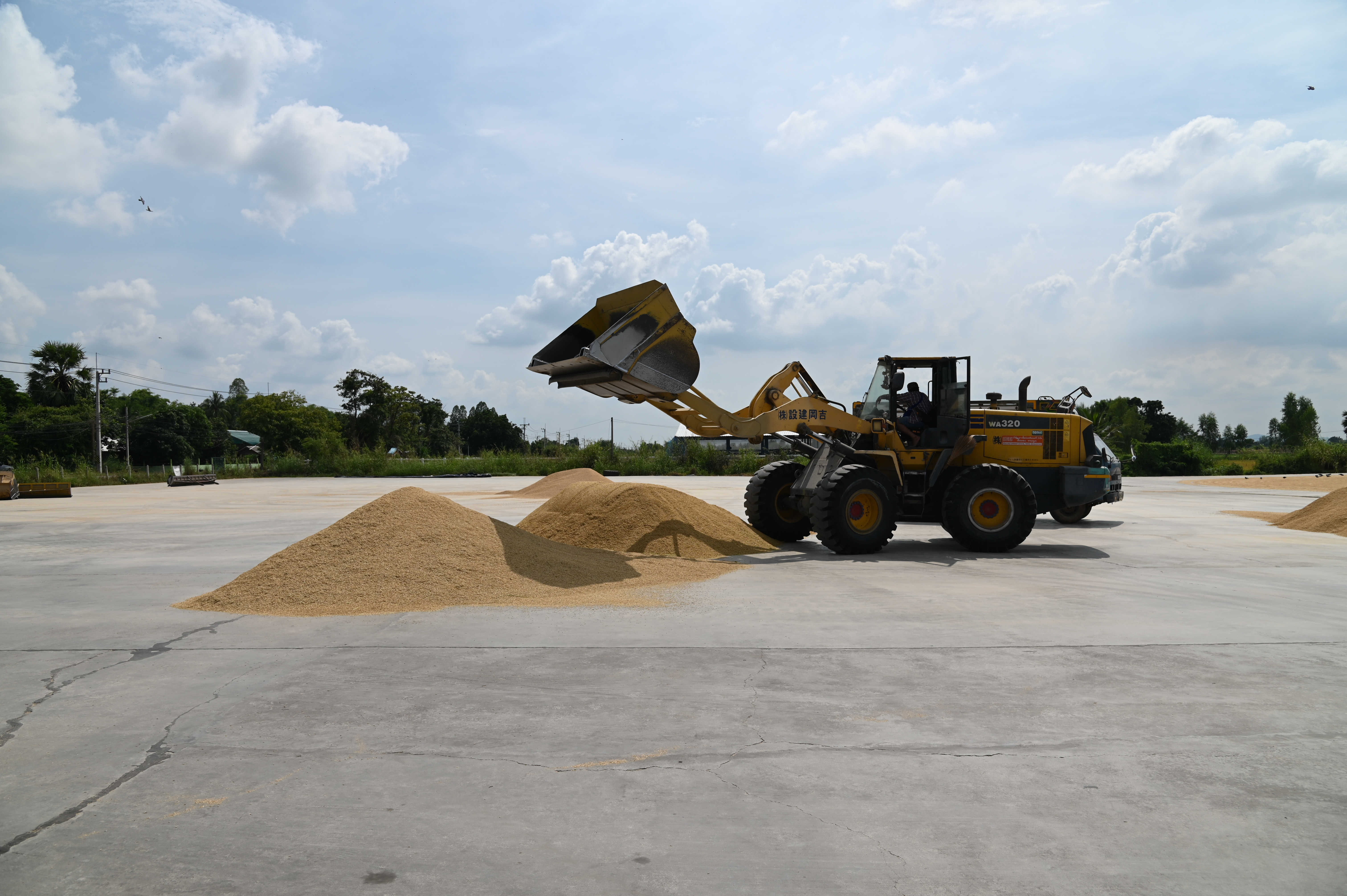 ข่าวเลขที่ 9/2569 DIT ยืนยันดูแลราคาข้าวเหนียวเชียงใหม่อย่างใกล้ชิด เดินหน้ามาตรการพยุงราคา-ลดต้นทุน-ตรวจสอบการรับซื้อ ช่วยเกษตรกรขายได้ในระดับที่เป็นธรรม (16 ตุลาคม 2568)