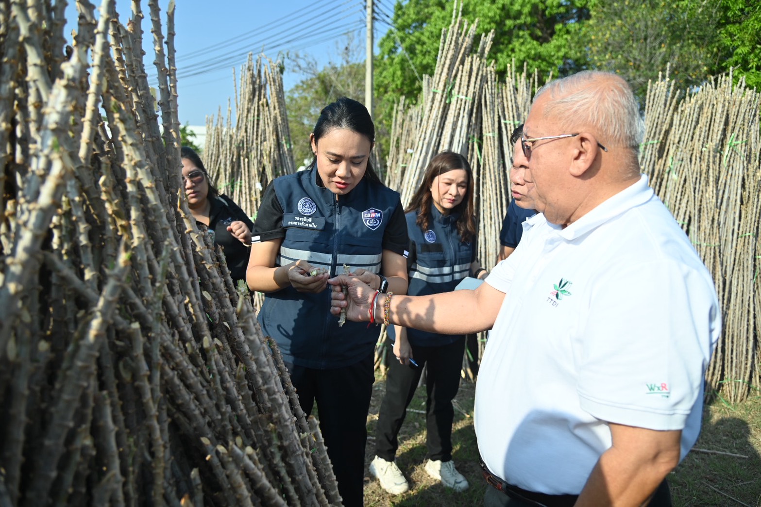 ข่าวเลขที่ 89/2569 DIT เร่งกระจายท่อนพันธุ์มันสำปะหลังคุณภาพ 5 ล้านลำ ลดความเสี่ยงโรคใบด่าง มุ่งเป้าช่วยเกษตรกรเพิ่มผลผลิต -ลดต้นทุน สร้างความเข้มแข็งให้กับอุตสาหกรรมในระยะยาว (14 มีนาคม 2569)