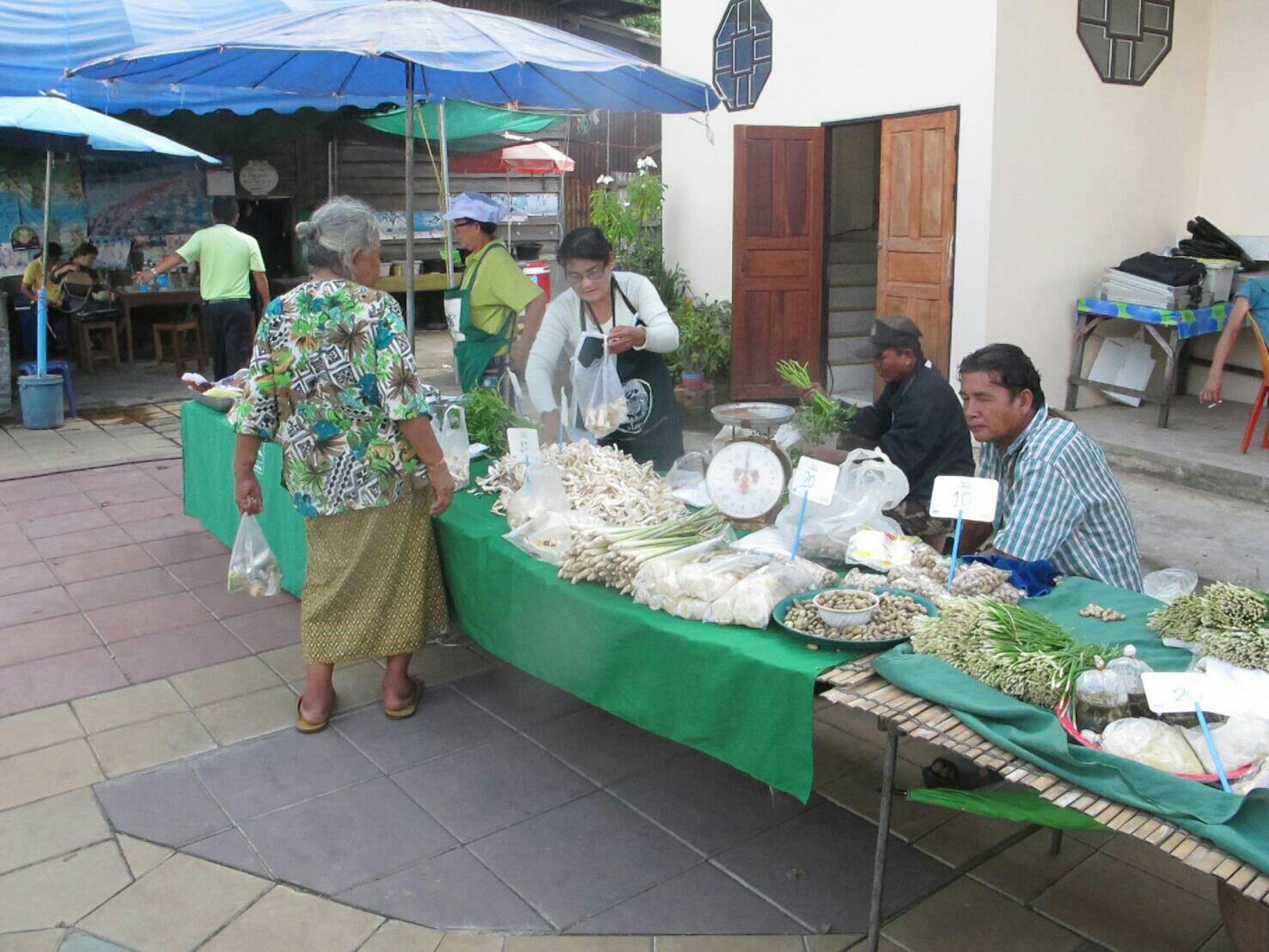 21642_แผงค้า ผัก.jpg