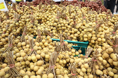 พาณิชย์ร่วมเปิดงานสนับสนุนเกษตรกรไทย ชวนบริโภคผลไม้ตามฤดูกาล