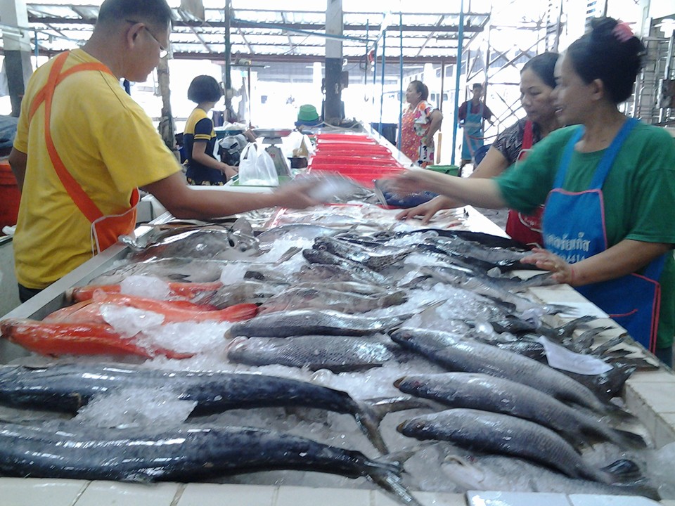 22728_อาหารทะเล.jpg