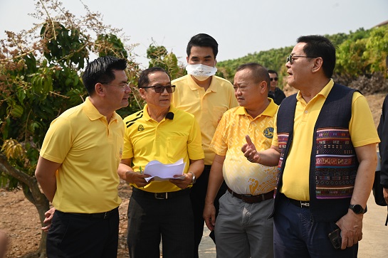 พาณิชย์จับมือเอกชน เชื่อมโยงรับซื้อมะม่วง@เชียงราย