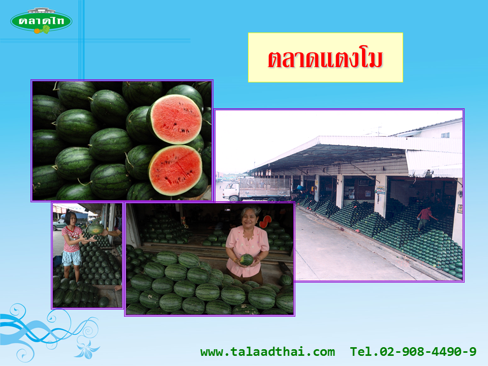 45119_ตลาดแตงโม.PNG