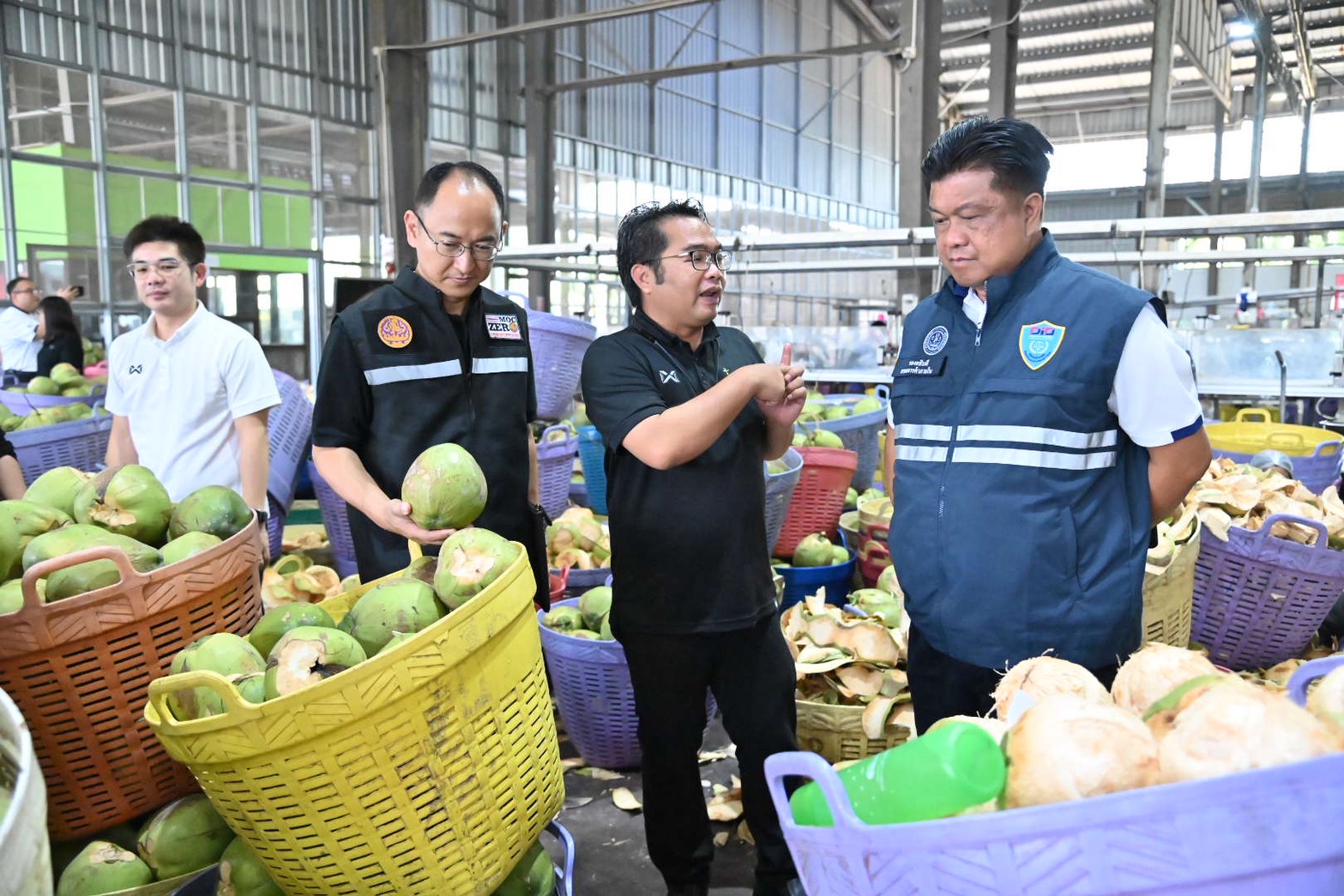 DIT ลงพื้นที่จังหวัดราชบุรี ติดตามสถานการณ์รับซื้อและจำหน่ายมะพร้าวน้ำหอม 