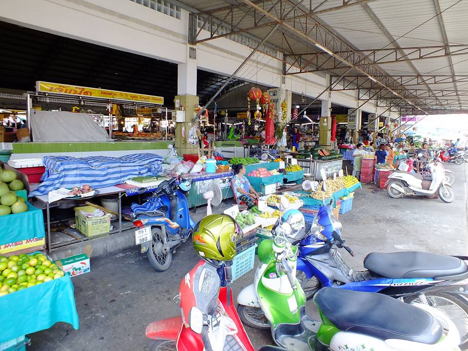 77993_ด้านหน้า.jpg