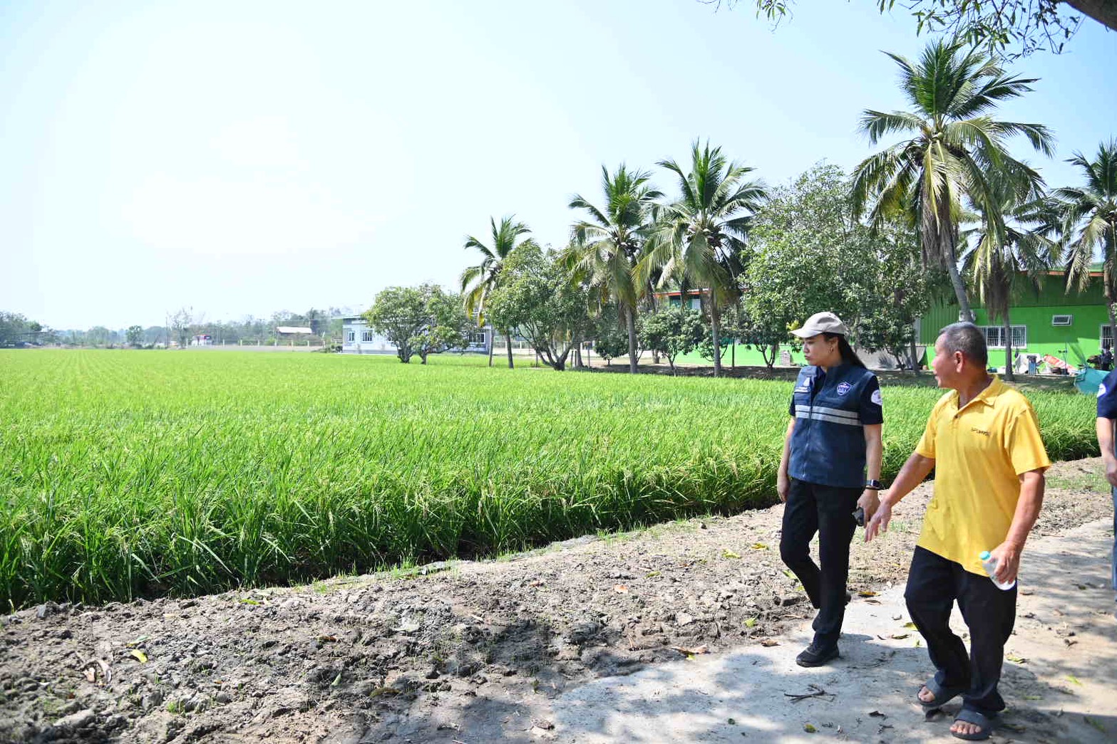  DIT ลงพื้นที่ “พิจิตรแซนด์บ็อกซ์”  กลุ่มเกษตรกรข้าวประณีตต้นแบบนาดำคาร์บอนต่ำ  เพิ่มผลผลิต ลดฝุ่น PM2.5 และตรวจสอบสถานีบริการน้ำมัน