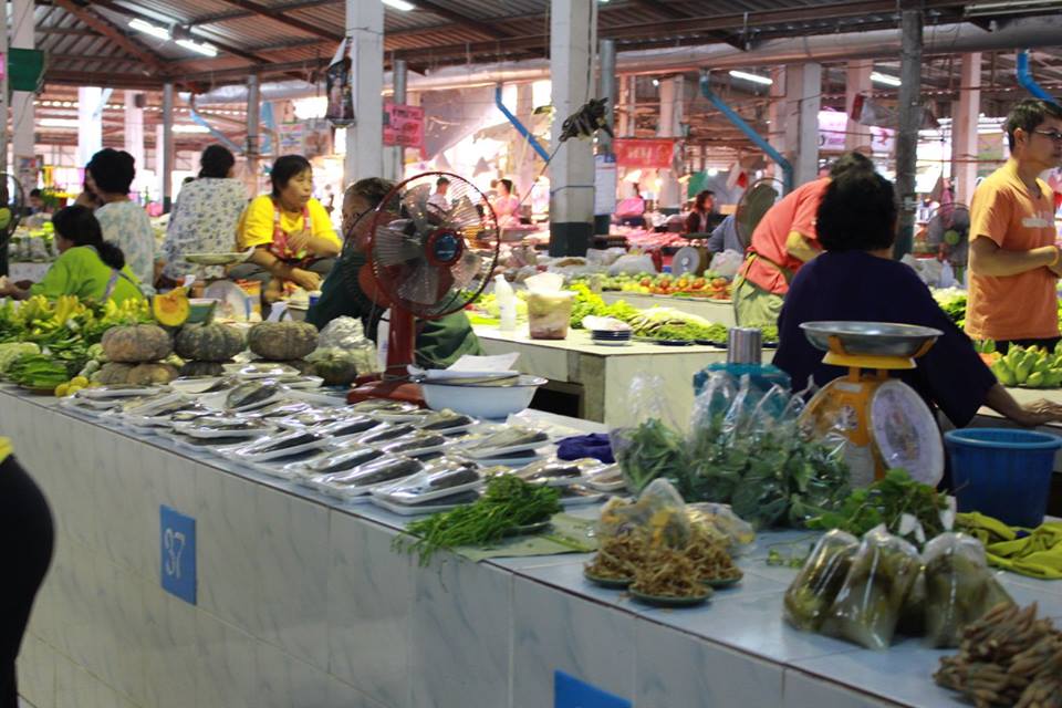 21374_แผงค้าผัก6.jpg
