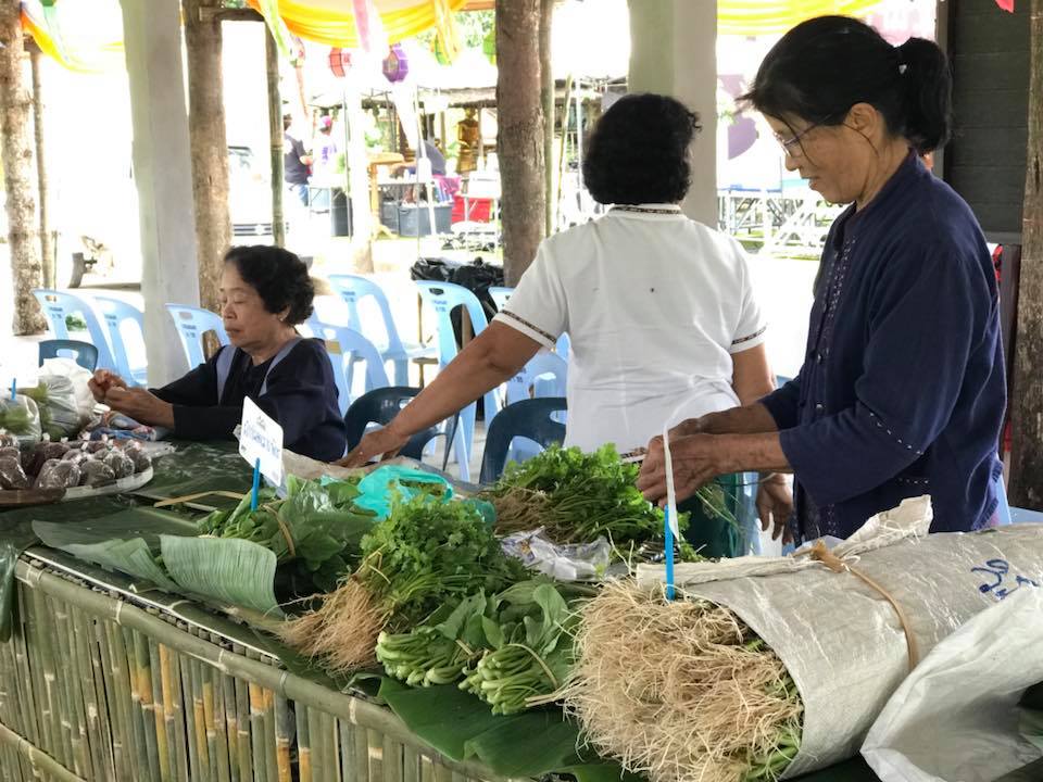 67874_แผงคาผัก.jpg