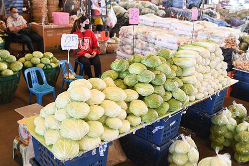 ตรวจติดตามสถานการณ์ราคาผัก