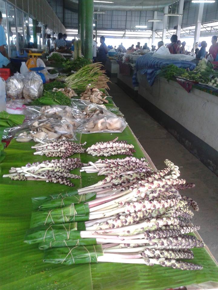 45182_แผงค้า ผักพื้นบ้าน.jpg