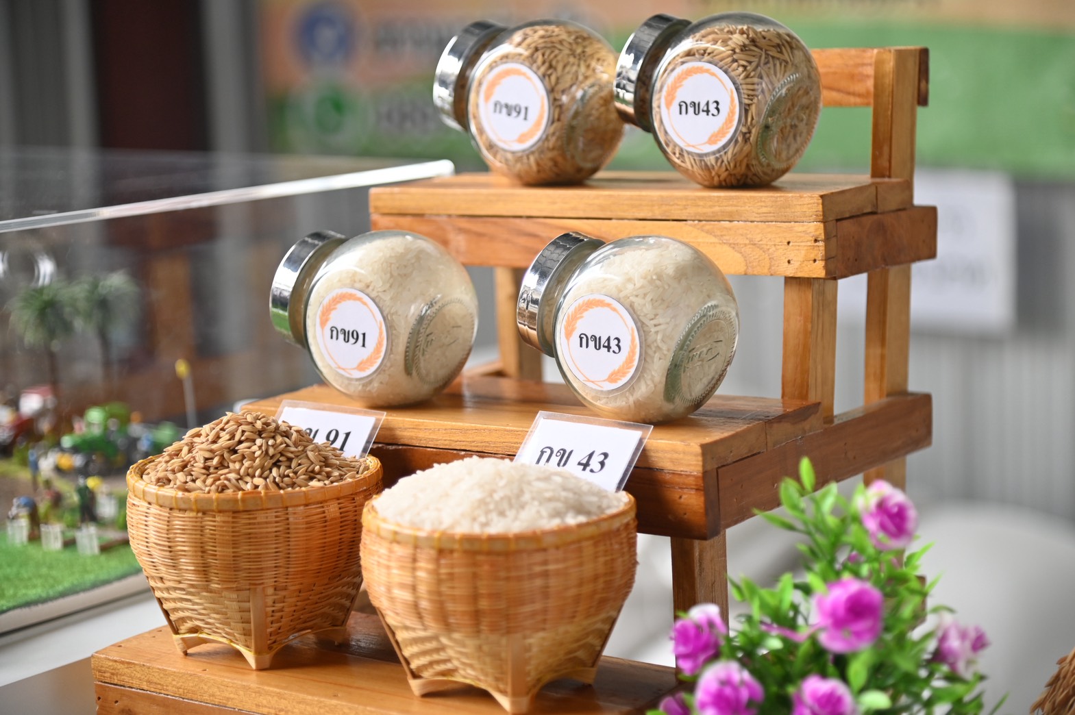 DIT สำรวจข้อมูลกลุ่มเกษตรกรข้าวประณีต พร้อมติดตามสถานการณ์ปริมาณและราคาปุ๋ยเคมี