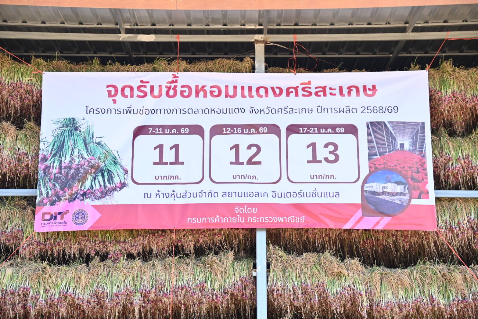 ข่าวที่ 60/2569 พาณิชย์ เร่งพยุงราคาหอมแดงศรีสะเกษ เชื่อมตลาดข้อตกลงทันที 50 ล้านบาท เดินหน้า 3 มาตรการ ดูดซับ–ส่งออกกว่า 7,000 ตัน ดันราคาปรับตัวดีขึ้น (10 มกราคม 2568)