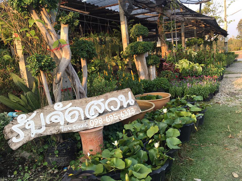 57123_ภาพป้ายรับจัดสวน.jpg
