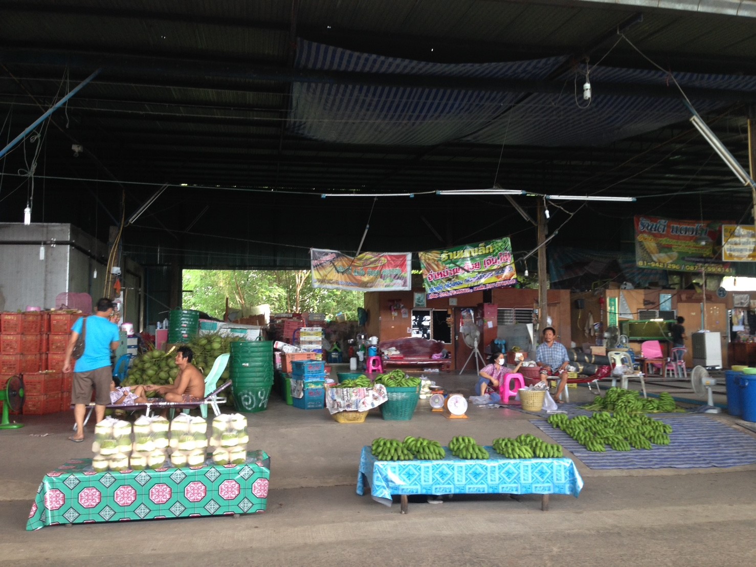22039_แผงผัก.jpg
