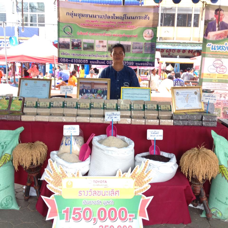 21756_ข้าวปลอดสารพิษ.jpg