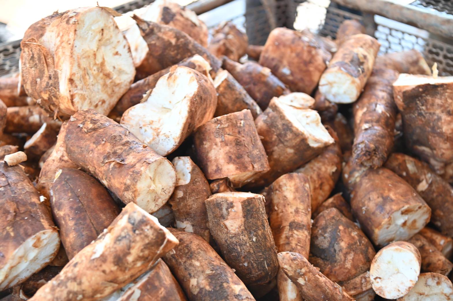 DIT ลงพื้นที่ตรวจสอบการรับซื้อมันสำปะหลัง รับฟังสถานการณ์นำเข้าสินค้าชายแดน  และการปฏิบัติงานด้านชั่งตวงวัด ในพื้นที่จังหวัดตาก