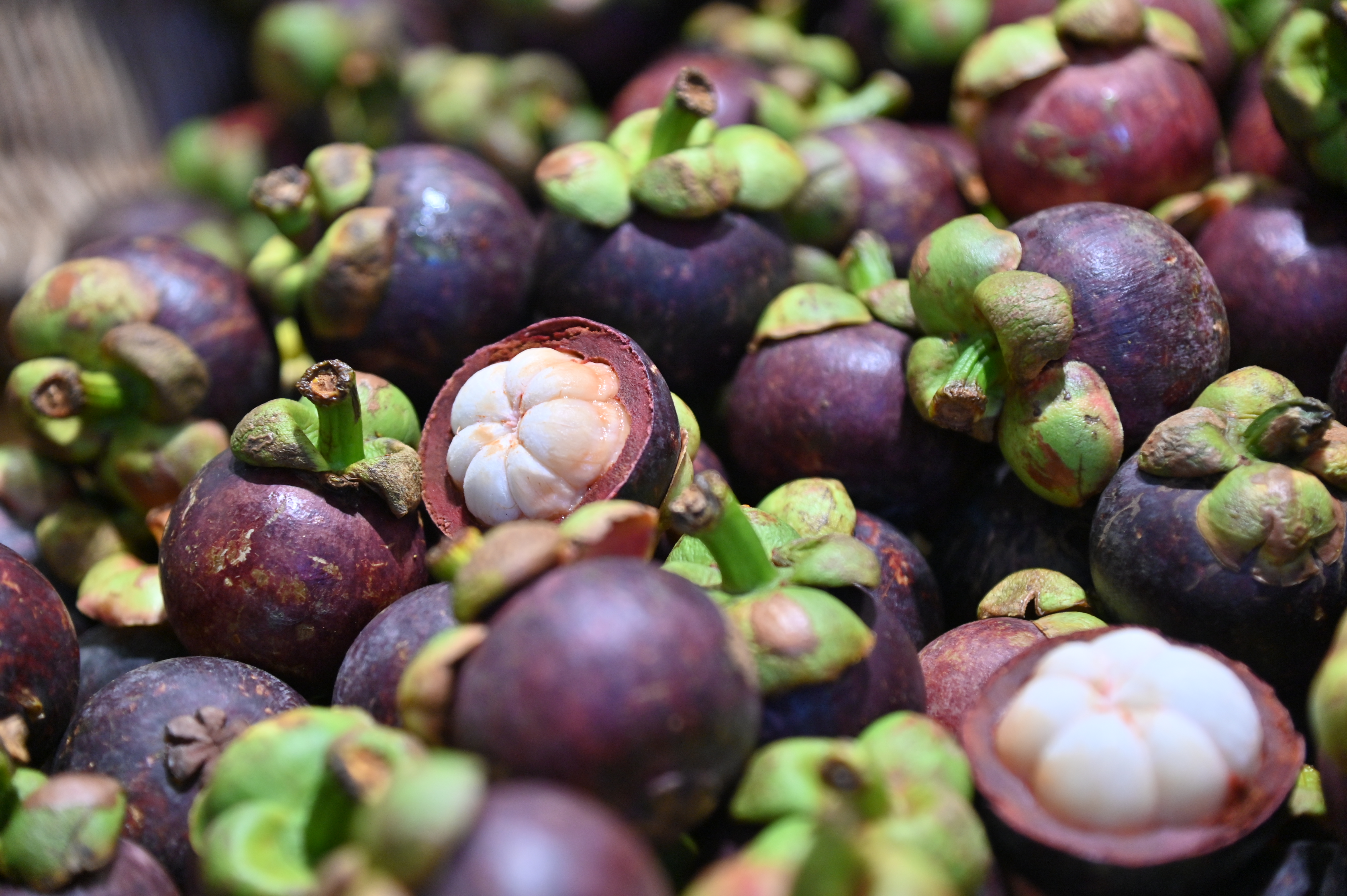 ข่าวเลขที่ 147/2569 กรมการค้าภายใน ขับเคลื่อน “Thailand : The Land of Tropical Fruits 2026” ดันผลไม้สดจากสวนสู่เมือง ผนึกท็อปส์ 760 สาขา รับซื้อผลไม้ภาคตะวันออกเพิ่ม 37% (26 พฤษภาคม 2569)
