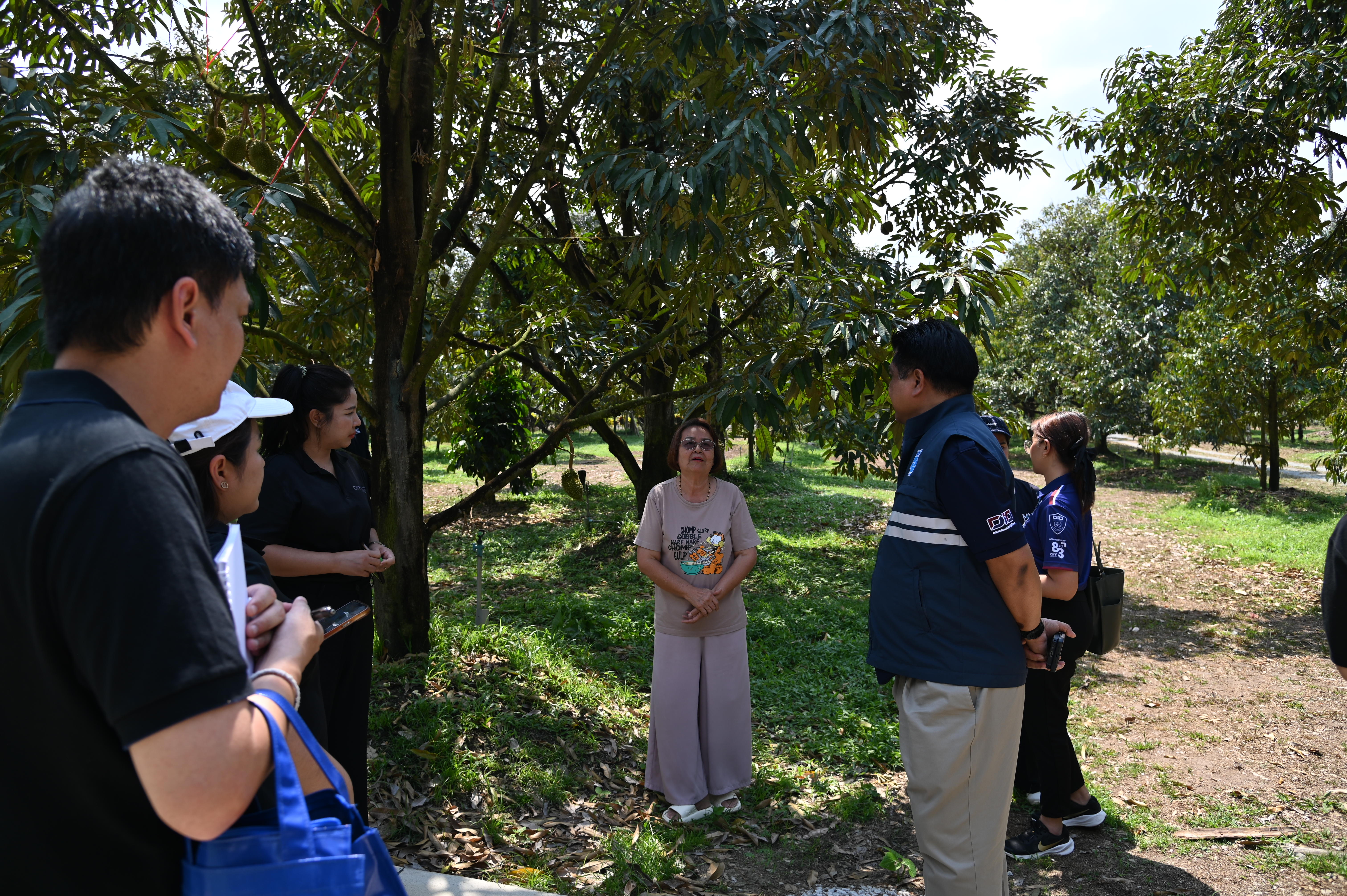 ข่าวเลขที่ 80/2569 DIT ลงพื้นที่จันทบุรี ติดตามสถานการณ์ผลไม้ภาคตะวันออก สำรวจความพร้อม สร้างความเชื่อมั่นคุณภาพผลไม้ (24 กุมภาพันธ์ 2569)