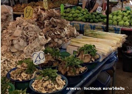 44862_ร้านขายผักด้านนอก.JPG