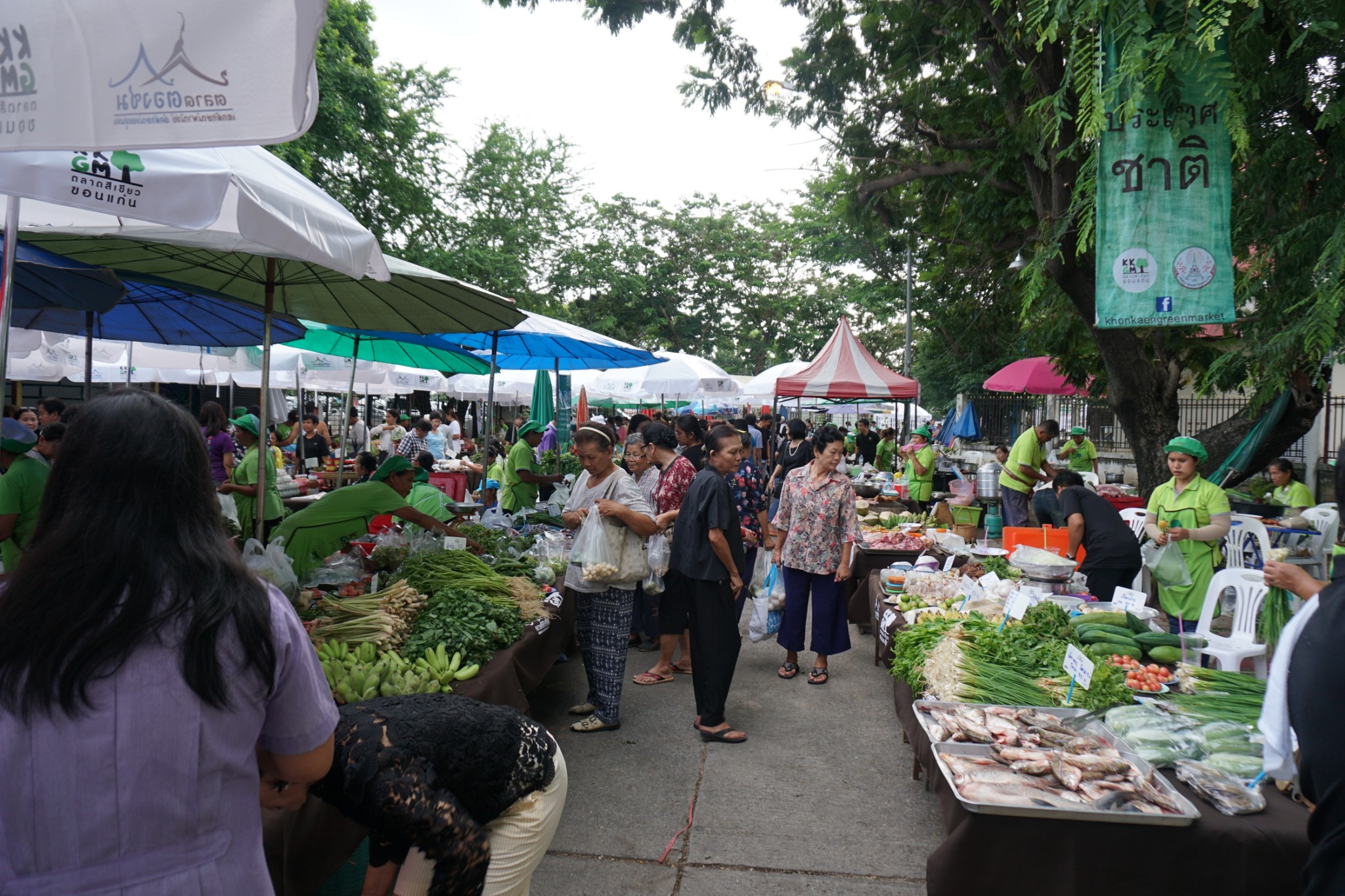 46756_บริเวณงาน 2.jpg