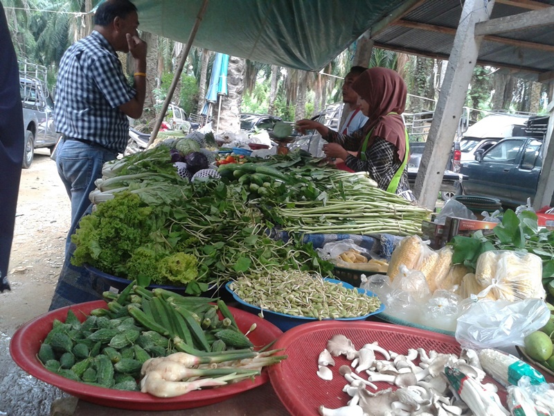 21847_ร้านค้า.jpg