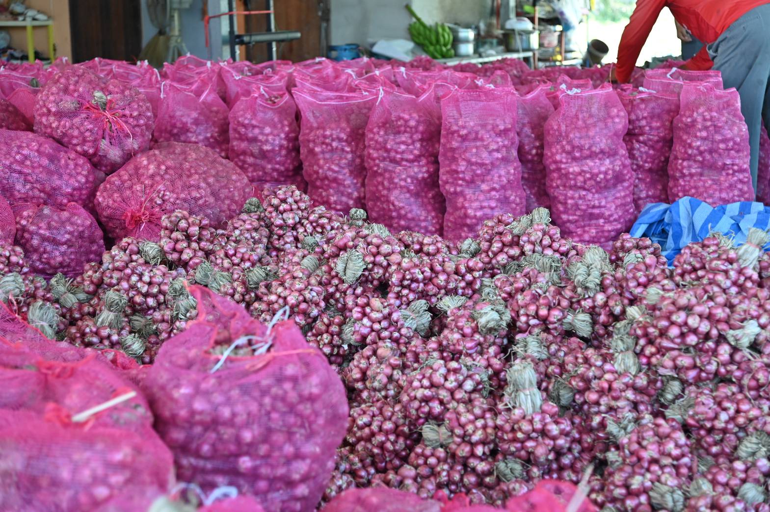 DIT ลงพื้นที่ตรวจเยี่ยมกิจกรรมการกระจายหอมแดงจังหวัดศรีสะเกษ