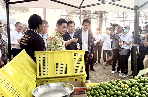 พาณิชย์ ลดราคา Grand Sale ทั่วไทย @งานประเพณีอนุรักษ์เต่าลงประจำปี 2566