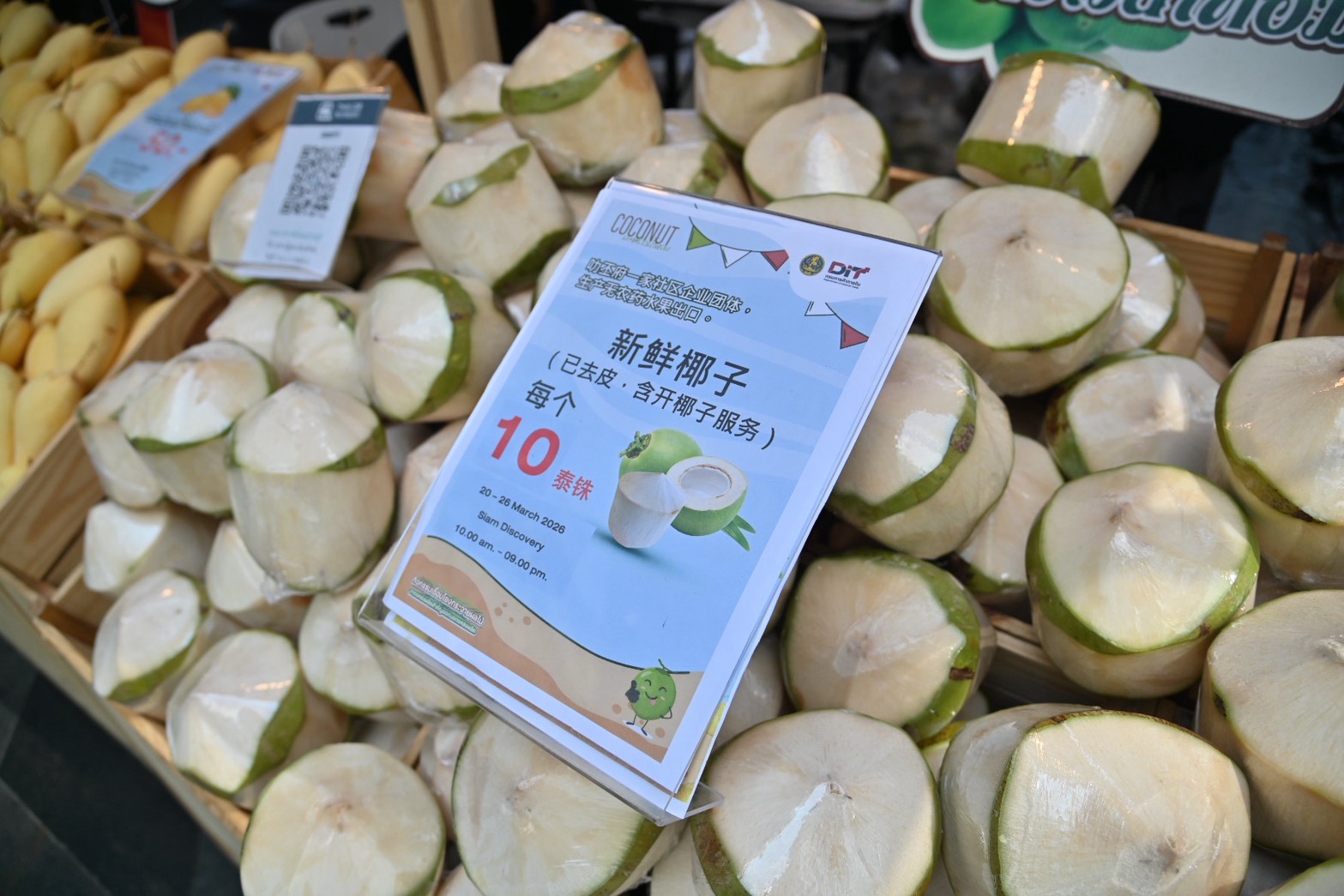 กรมการค้าภายในร่วมมือภาคเอกชน  สนับสนุนเปิดจุดจำหน่ายมะพร้าวน้ำหอมและมะม่วง ปี 2569