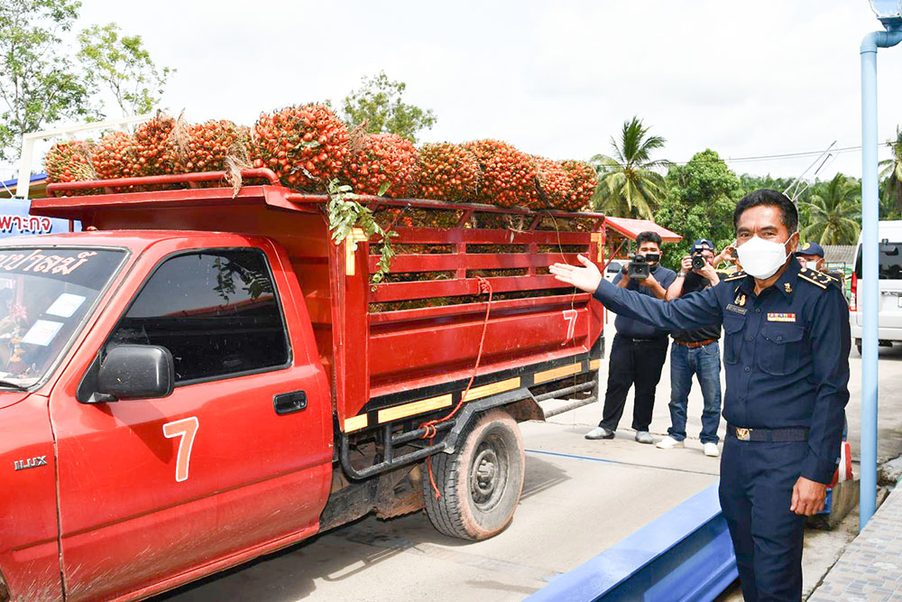 พาณิชย์ปล่อยขบวน สายตรวจสอบเครื่องชั่งรถยนต์ รับซื้อปาล์มน้ำมันในเขตพื้นที่ภาคใต้